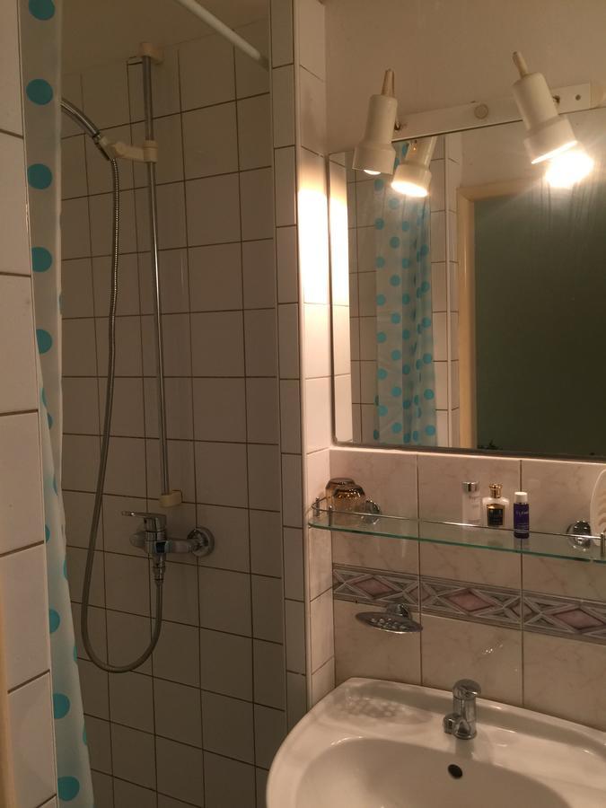 Hotel Dvorak Chrast Exteriör bild